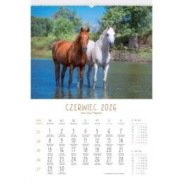 Kalendarz ścienny 13-planszowe 320mm x 470mm Lucrum (RW14) Lucrum