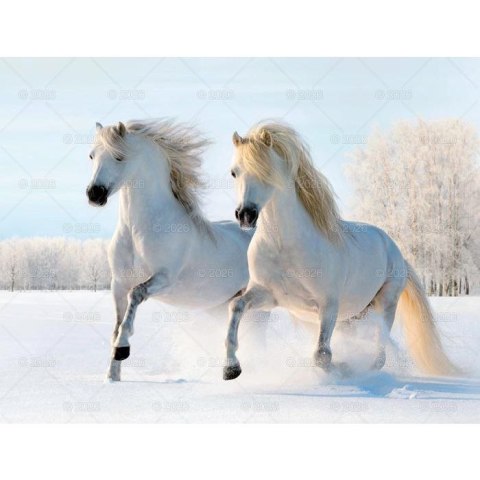 Kalendarz ścienny 13-planszowe 320mm x 470mm Lucrum (RW14) Lucrum