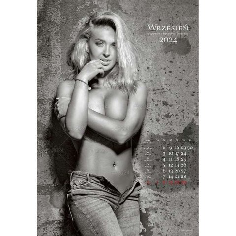 Kalendarz ścienny FOTO-MARZENIA 13-planszowe 2024 320mm x 470mm Lucrum (RW14) Lucrum