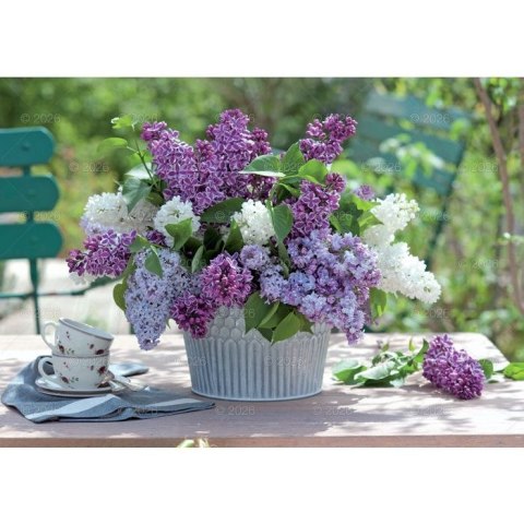 Kalendarz ścienny Kwiaty ozdobne rodzinny 2026 280mm x 200mm Lucrum (WL02) Lucrum