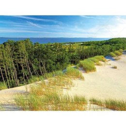 Kalendarz ścienny LASY POLSKIE 13-planszowe 2024 320mm x 470mm Lucrum (RW04) Lucrum