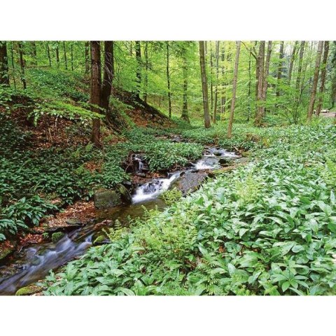 Kalendarz ścienny LASY POLSKIE 13-planszowe 2024 320mm x 470mm Lucrum (RW04) Lucrum