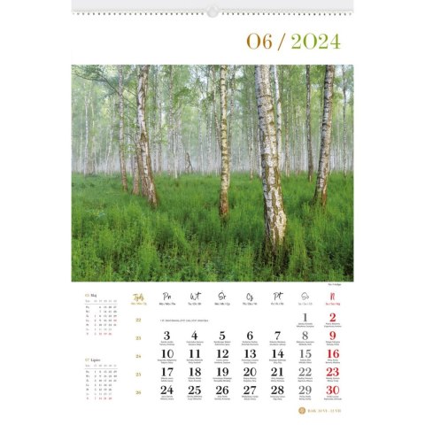 Kalendarz ścienny LASY POLSKIE 13-planszowe 2024 320mm x 470mm Lucrum (RW04) Lucrum