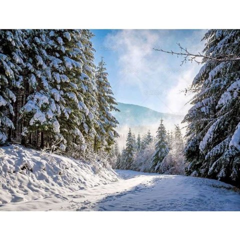 Kalendarz ścienny LASY POLSKIE 13-planszowe 2024 320mm x 470mm Lucrum (RW04) Lucrum