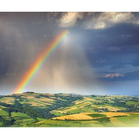 Kalendarz ścienny MAGICZNA POLSKA 13-planszowe 2024 320mm x 470mm Lucrum (RW02) Lucrum