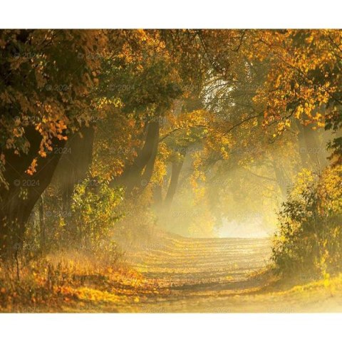 Kalendarz ścienny MAGICZNA POLSKA 13-planszowe 2024 320mm x 470mm Lucrum (RW02) Lucrum