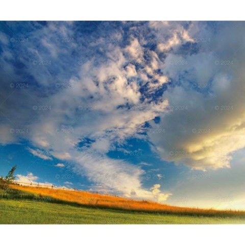 Kalendarz ścienny MAGICZNA POLSKA 13-planszowe 2024 320mm x 470mm Lucrum (RW02) Lucrum