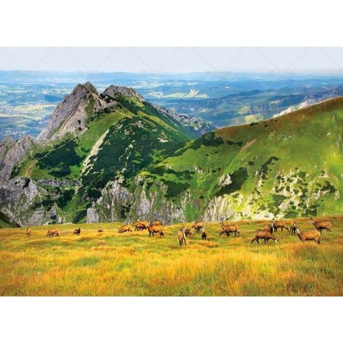 Kalendarz ścienny PEJZAŻE TATRZAŃSKIE 13-planszowe 2024 320mm x 470mm Lucrum (RW05) Lucrum