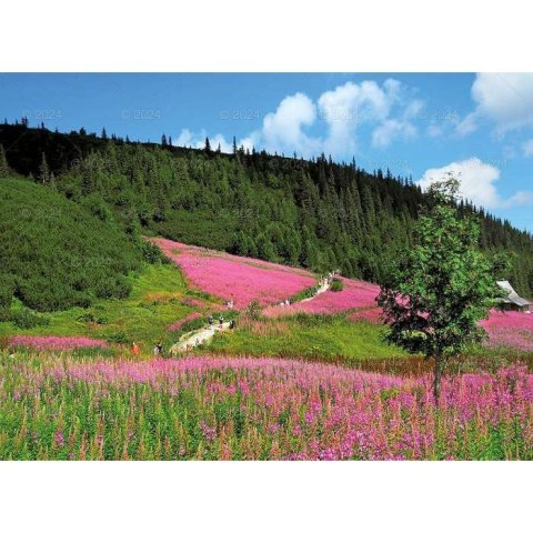 Kalendarz ścienny PEJZAŻE TATRZAŃSKIE 13-planszowe 2024 320mm x 470mm Lucrum (RW05) Lucrum