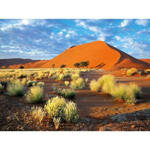 Kalendarz ścienny PODRÓŻE PO KONTYNENTACH 13-planszowe 2024 320mm x 470mm Lucrum (RW09) Lucrum