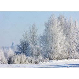 Kalendarz ścienny Pejzaże Polski rodzinny 2023 280mm x 200mm Lucrum (WL03) Lucrum