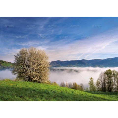 Kalendarz ścienny Pejzaże Polski rodzinny 2023 280mm x 200mm Lucrum (WL03) Lucrum