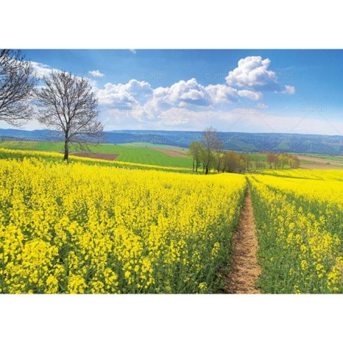 Kalendarz ścienny Pejzaże Polski rodzinny 2023 280mm x 200mm Lucrum (WL03) Lucrum