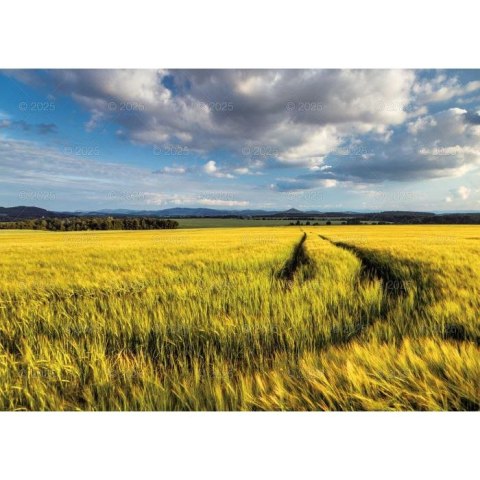 Kalendarz ścienny Pejzaże Polski rodzinny 2023 280mm x 200mm Lucrum (WL03) Lucrum