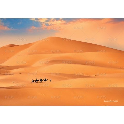 Kalendarz ścienny Piękne krajobrazy rodzinny 2026 280mm x 200mm Lucrum (WL04) Lucrum