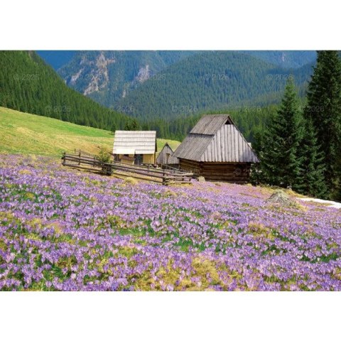 Kalendarz ścienny Tatry i Podhale rodzinny 2023 280mm x 200mm Lucrum (WL04) Lucrum