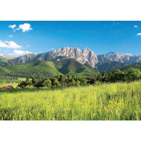 Kalendarz ścienny Tatry i Podhale rodzinny 2023 280mm x 200mm Lucrum (WL04) Lucrum