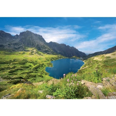 Kalendarz ścienny Tatry i Podhale rodzinny 2023 280mm x 200mm Lucrum (WL04) Lucrum