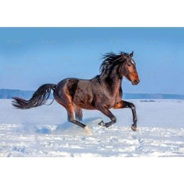 Kalendarz ścienny konie w plenerze rodzinny 280mm x 200mm Lucrum (WL10) Lucrum