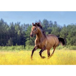 Kalendarz ścienny konie w plenerze rodzinny 280mm x 200mm Lucrum (WL10) Lucrum