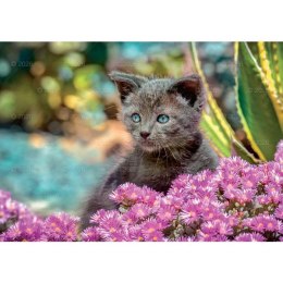 Kalendarz ścienny koty i kotki rodzinny 280mm x 200mm Lucrum (WL09) Lucrum