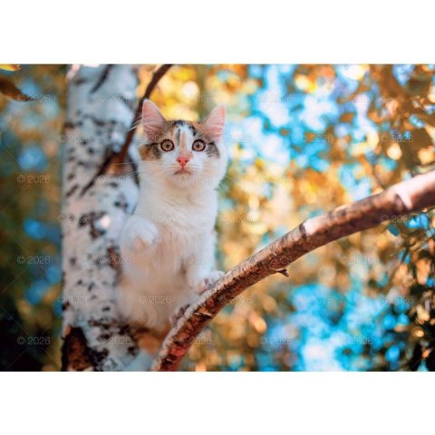 Kalendarz ścienny koty i kotki rodzinny 280mm x 200mm Lucrum (WL09) Lucrum