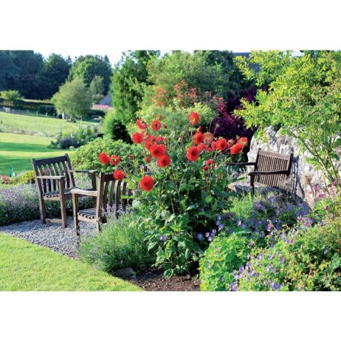 Kalendarz ścienny rodzinny 280mm x 200mm Lucrum (WL13) Lucrum