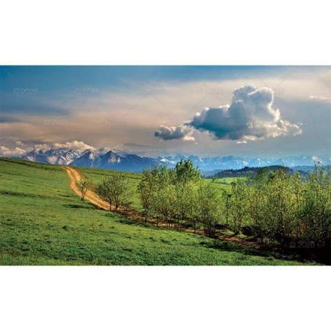 Kalendarz ścienny trójdzielny 320mm x 860mm Lucrum (KT04) Lucrum