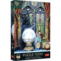 Puzzle Magic Collection Premium Plus Uczeń czarownicy 1000 el. Trefl (10898) Trefl