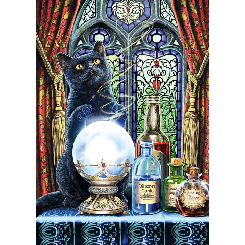 Puzzle Magic Collection Premium Plus Uczeń czarownicy 1000 el. Trefl (10898) Trefl