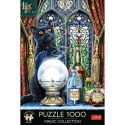 Puzzle Magic Collection Premium Plus Uczeń czarownicy 1000 el. Trefl (10898) Trefl
