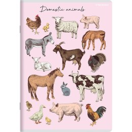 Zeszyt PP A5 32k. krata Top 2000 (400174505) Top 2000