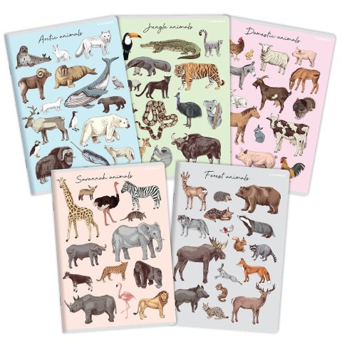 Zeszyt PP A5 32k. krata Top 2000 (400174505) Top 2000