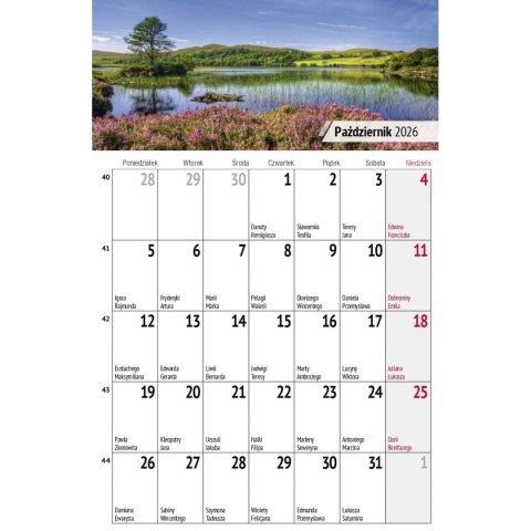 Kalendarz biurkowy miesięczny Pejzaże 240mm x 150mm Press (5904830713602) Press