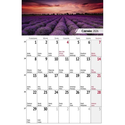 Kalendarz biurkowy miesięczny Pejzaże 240mm x 150mm Press (5904830713602) Press