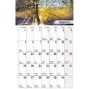 Kalendarz biurkowy miesięczny Pejzaże 240mm x 150mm Press (5904830713602) Press