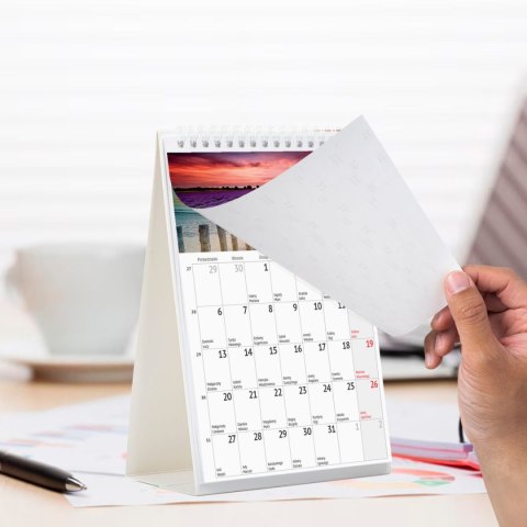 Kalendarz biurkowy miesięczny Pejzaże 240mm x 150mm Press (5904830713602) Press