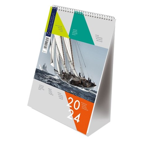 Kalendarz książkowy (terminarz) A5 Michalczyk i Prokop (T-101-3 01-12) Michalczyk i Prokop