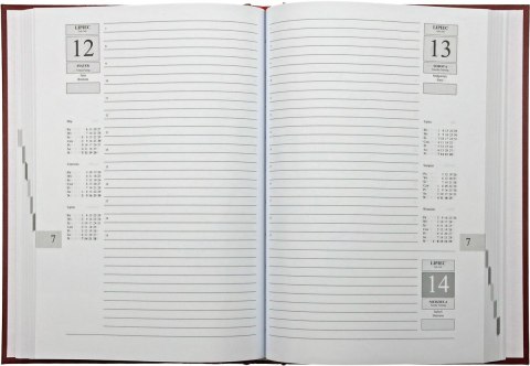 Kalendarz książkowy (terminarz) Asystent terminarz A5 Michalczyk i Prokop (T-237C-N) Michalczyk i Prokop