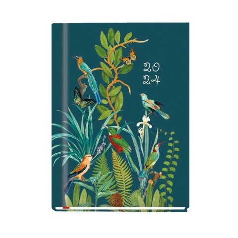 Kalendarz książkowy (terminarz) Ola A6 148mm x 105mm Michalczyk i Prokop (T-212V-C,N,P,S,Z) Michalczyk i Prokop