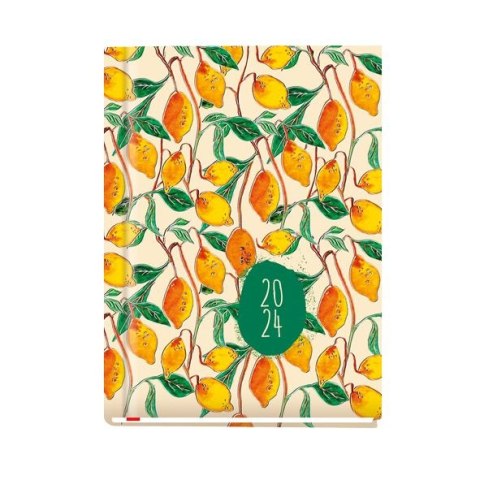 Kalendarz książkowy (terminarz) Ola A6 148mm x 105mm Michalczyk i Prokop (T-212V-C,N,P,S,Z) Michalczyk i Prokop