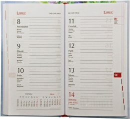 Kalendarz książkowy (terminarz) kieszonkowy 90mm x 161mm Michalczyk i Prokop (T-231F) Michalczyk i Prokop