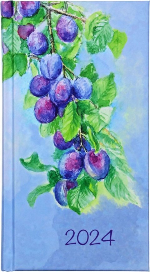 Kalendarz książkowy (terminarz) kieszonkowy 90mm x 161mm Michalczyk i Prokop (T-231F) Michalczyk i Prokop