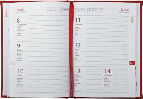 Kalendarz książkowy (terminarz) terminarz B6 128mm x 173mm Michalczyk i Prokop (T215V) Michalczyk i Prokop