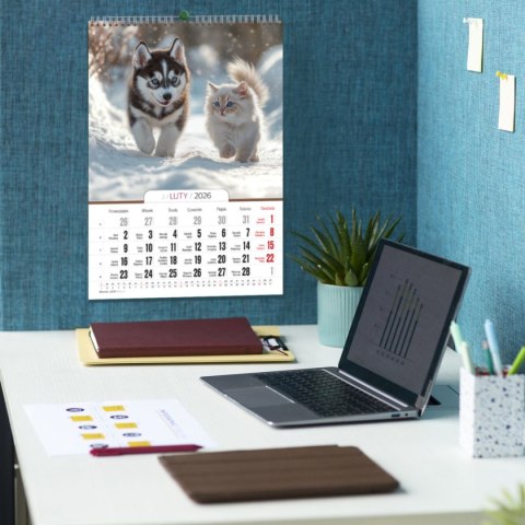 Kalendarz ścienny 16 stron wieloplanszowy A3 Press (kociaki i szczeniaki) Press