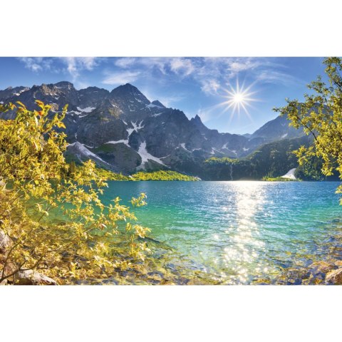 Kalendarz ścienny 315mm x 855mm Michalczyk i Prokop (T-105T-02) Michalczyk i Prokop