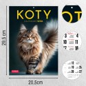 Kalendarz ścienny A4 KOTY A4 Press (5904830713381) Press