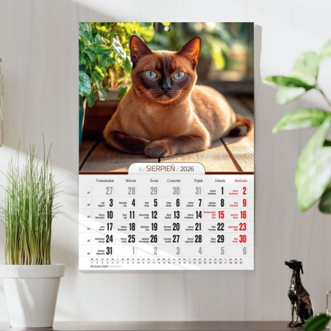 Kalendarz ścienny A4 KOTY A4 Press (5904830713381) Press