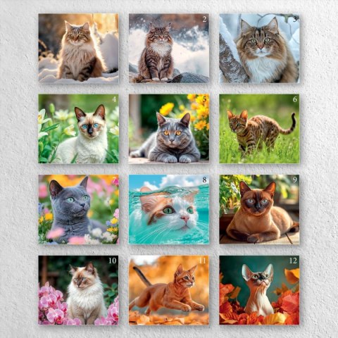 Kalendarz ścienny A4 KOTY A4 Press (5904830713381) Press