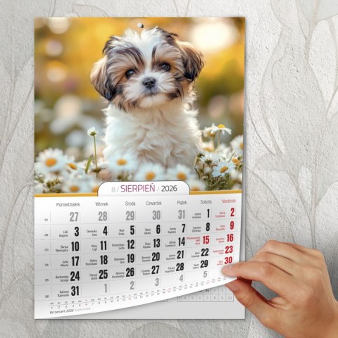 Kalendarz ścienny A4 MILUSIŃSCY A4 Press (5904830713473) Press